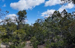 18 Larry Lane, Cedar Crest, NM 87008