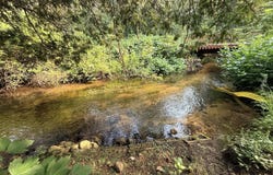 4513 W Mena Creek Xing, White Cloud, MI 49349
