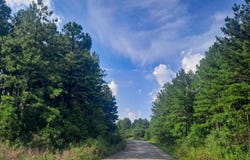 MCDADE Rd, Carbon Hill, AL 35549