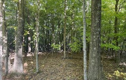 W Whitefish Bay Rd, Sturgeon Bay, WI 54235