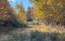 S Bay Road, Franklin, ME 04634