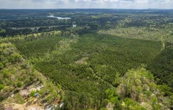 Beech Dr., Bismarck, AR 71921