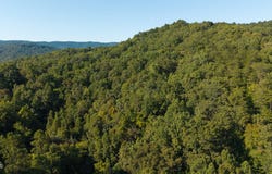 32.38 Ac Panther Creek Road, Sneedville, TN 37869