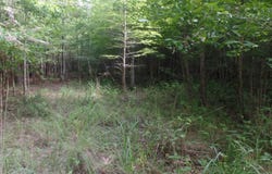 38.655 ac County Road 20, Jasper, TX 75951