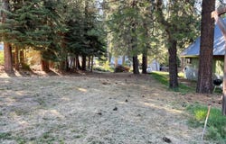 8 Hwy 41, Fish Camp, CA 93623