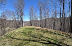 Roan Springs Road, Roan Mountain, TN 37687
