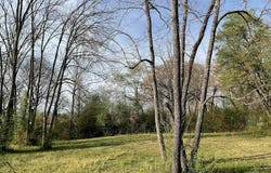 162 W Johnson, Hatfield, AR 71945