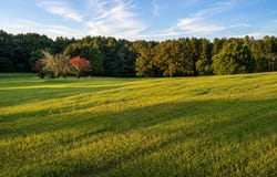 Oakhill Blvd, Collins, MS 39428