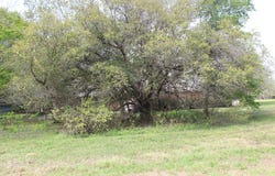 852 CR 303, Palacios, TX 77465