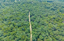 10 & 11 Little Deer Drive, Dittmer, MO 63023