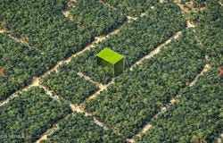 NELL Road, Interlachen, FL 32148
