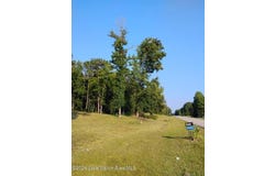 1051 PATRICK Street, WAVERLY, AL 36879