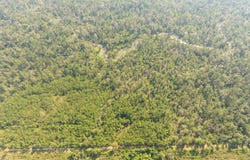 Camanche Road, Ragley, LA 70657