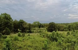 David Conway Rd, Romance, AR 72136