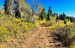 22444 THADS PEAK Dr, Fairview, UT 84629