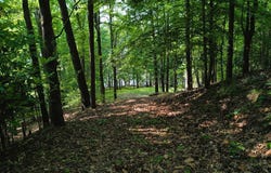 Watson Spur RD, Georgetown, GA 39854