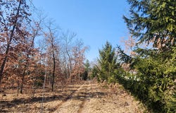 Jeffers Street lot: B, Irons, MI 49644
