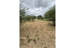 15516 FOX LN, Selma, TX 78154