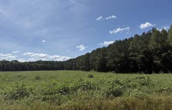 Nc Highway 33, Chocowinity, NC 27817