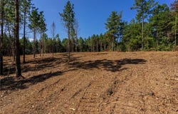1 Young Loop, Fairmount, GA 30139