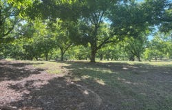 Highway 18, Raymond, MS 39154