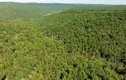 HWY 65, Clinton, AR 72031