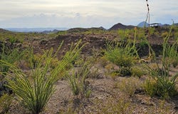 Gate 4 Road, Terlingua, TX 79852
