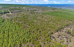 RIVER MTN Road lot: 0, Delaware, AR 72835