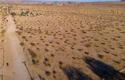 4 Sunflower Road, Joshua Tree, CA 92252