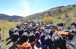 56495 HIGHWAY 318, Maybell, CO 81640
