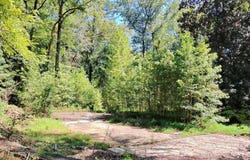 4824 Flakes Mill Road, Ellenwood, GA 30294