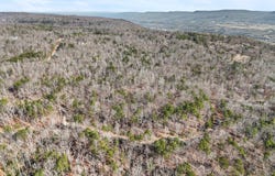 Tall Tree Trail lot: 406, Dunlap, TN 37327