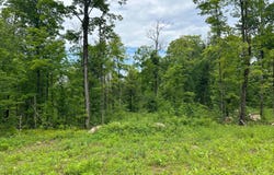 CTH G lot: 15, Pelican Lake, WI 54463