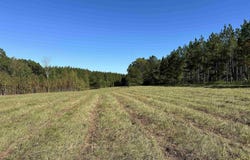 4434 COUNTY ROAD 86 lot: 1, CALERA, AL 35040