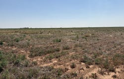 Elk, Levelland, TX 79336