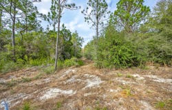 3842 Bear Head Road, Crestview, FL 32539