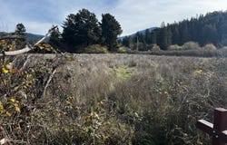 Holmes Flat Road, Redcrest, CA 95569