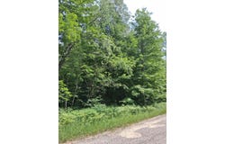 Crestwood Drive lot: 569, Mancelona, MI 49659