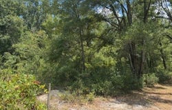 OBrien, FL 32071