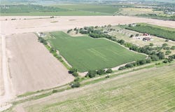 21343 Norene Drive, Elsa, TX 78538