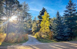 5 Mohawk Rd, Lyons, CO 80540