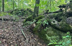Bobcat Lane lot: 89, Wilder, TN 38589