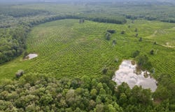 0 Neely Avera, Neely, MS 39461