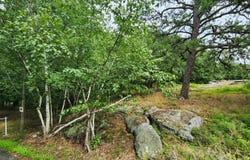Baldassari Drive lot: A-1, Dunmore, PA 18512