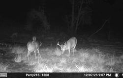 -- US Hwy 98, Beaumont, MS 39423