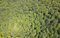 CR5, Witt Springs, AR 72686