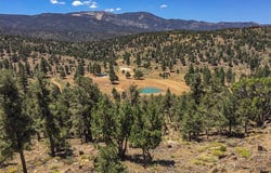 550 Eagle Ridge Rd, Big Bear City, CA 92314