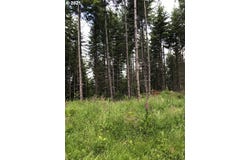 Cater E Rd, Warren, OR 97053