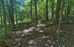 TR117-NR Woodside, Nicholson Twp, PA 15478