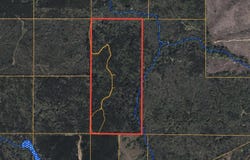 Bushtown Road, Pinola, MS 39149